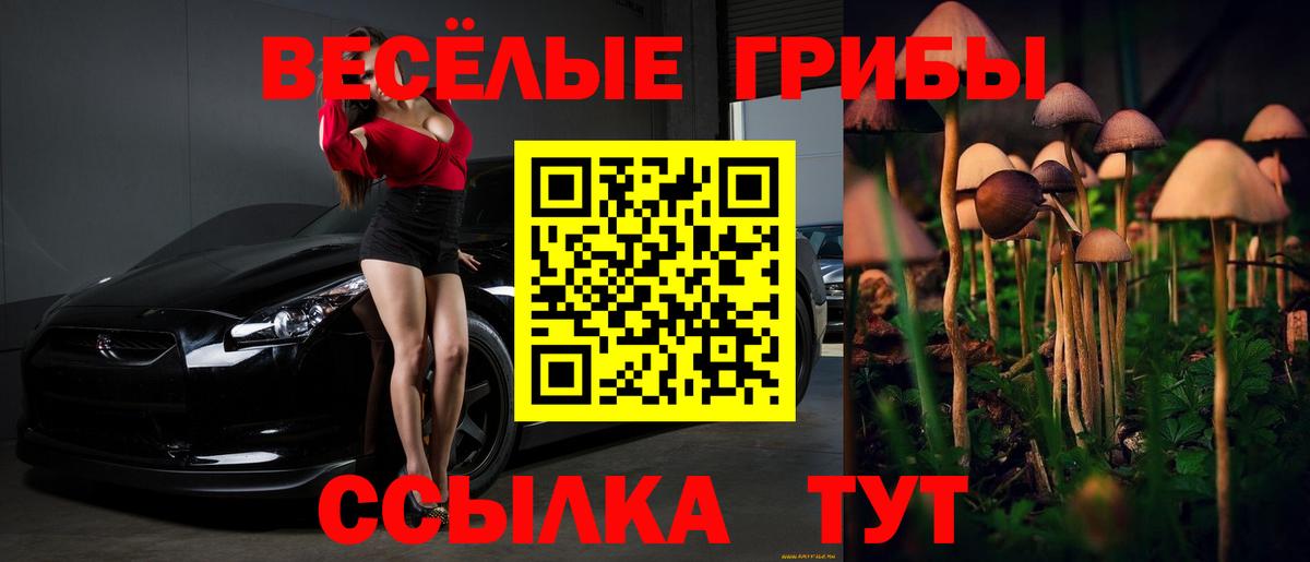 Екатеринбург  Псилоцибиновые грибы Cubensis  Вход с VPN 